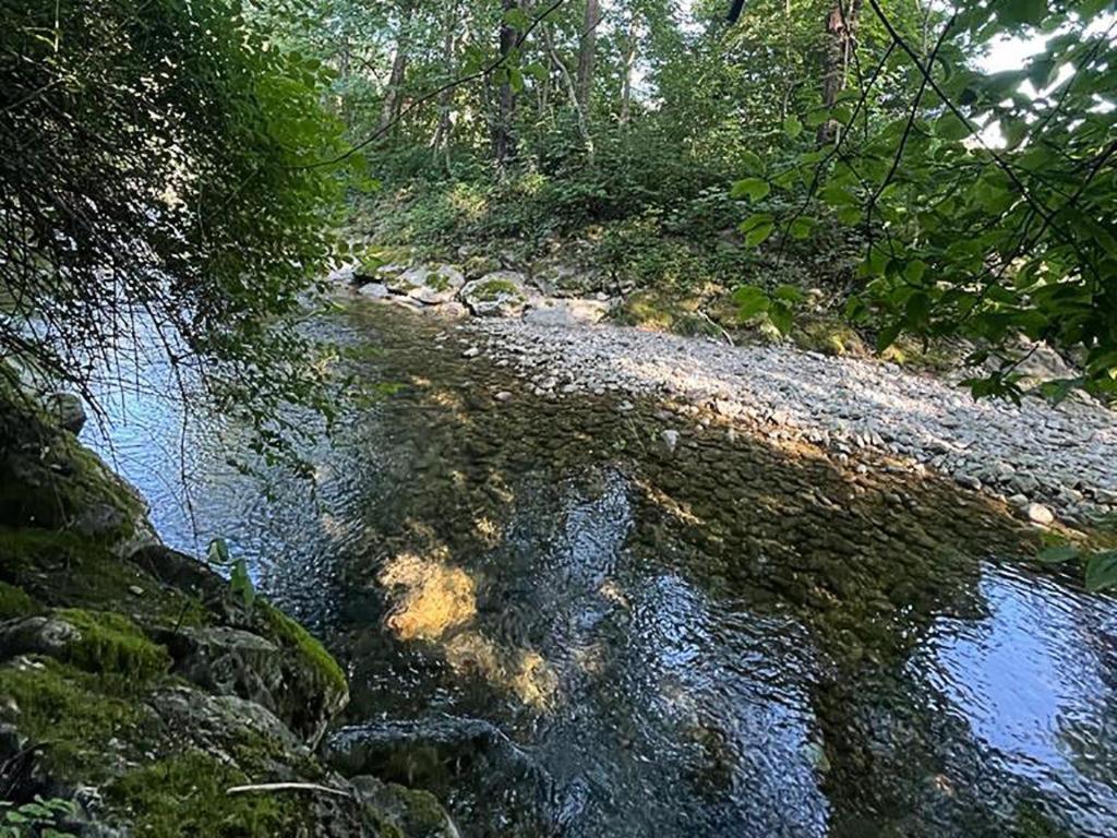 Haus Am Bach Διαμέρισμα Erl Εξωτερικό φωτογραφία
